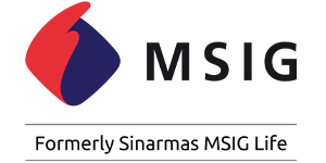 to logo - msig